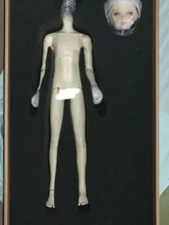 ADDTOYS 1/6スケール コレクタブルフィギュア シークウルフ AD01