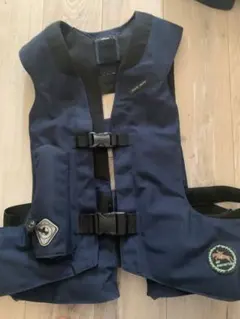 Item thumbnail for item 10e8c4bf-e9e3-4577-95c2-8933228aa6f7