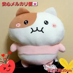 Item thumbnail for item 01953204-b8db-4dec-b26d-a8a6586f504a