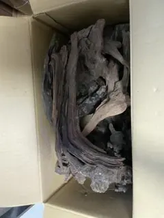 流木　まとめ売り　おまけ付き
