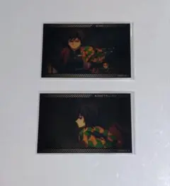 鬼滅の刃　ミニブロマイド　冨岡義勇