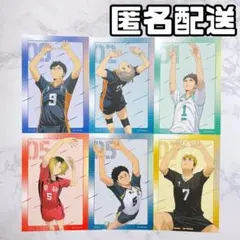 ハイキュー ウィンターフェア アニメイト 特典 ビジュアルカード まとめ売り