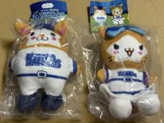 にっこリーノ BAYSTARSのぬいぐるみ DB.スターマン&キララのセット