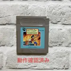 BATTLE PINGPONG ゲームソフト OMG-BPA