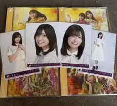 乃木坂46 42th シングル 是非に及ばず封入生写真 五百城茉央4枚コンプcのサムネイル