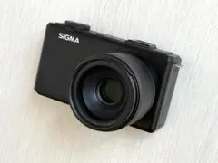 2026年最新】SIGMA DP1 MERRILLの人気アイテム - メルカリ