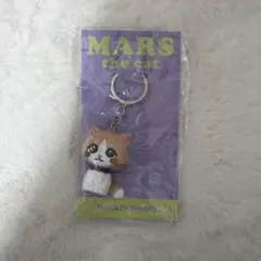 藤原樹 マース キーホルダー ランペ ランペイジ RAMPAGE