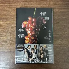 情事と事情 小手鞠るい 幻冬舎文庫