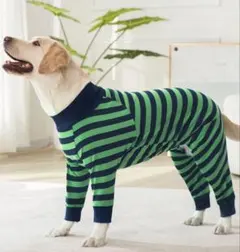 Item thumbnail for item 0c50f6e5-598f-4f41-ab77-bab42d1993bc