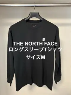 THE NORTH FACE ロングスリーブ スモールボックスロゴティー