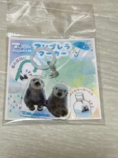 鳥羽水族館 誕生日 福袋 セット ラッコ メイ キラ - メルカリ