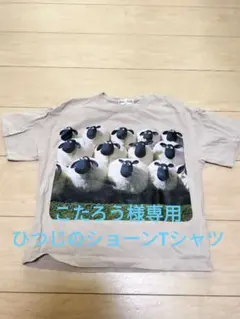 Tシャツ 130cm 2枚　Championとひつじのショーン