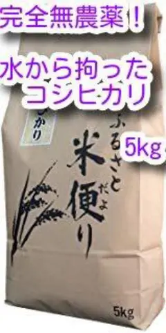 新米　井戸水汲み上げ方式・農薬不使用・茨城産コシヒカリ　５ｋｇのサムネイル