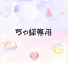 ちゃ様専用　合計2点　マタニティフォトシール