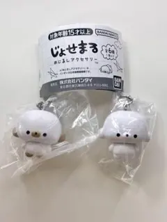 じょせまる　めじるしアクセサリー