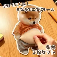 Item thumbnail for item b4484eac-f144-4ca2-b4fd-c788a48a26dd