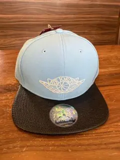 未使用 Air Jordan 水色キャップ ウィングロゴ