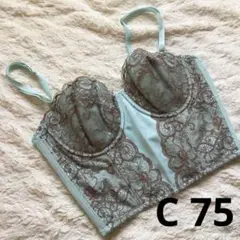 美品★ダイアナ　コルセット／ロングブラジャー　C75