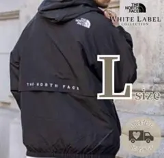 韓国限定✨ノースフェイスVILAN EX JACKET L ジャケット人気