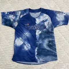 Item thumbnail for item 1acacaf3-9155-4d9d-9a8b-d95b22ff7733