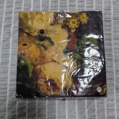 Item thumbnail for item a93e48cc-a874-4476-a8ef-8069b09251a0