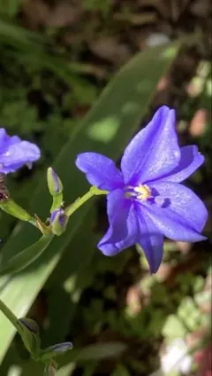 プロフィール一読お願い致します様 リクエスト 2点 まとめ商品