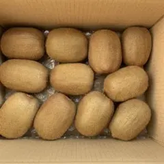 青森県産　農薬不使用　キウイフルーツ　箱込み約3kg