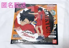 ハイキュー!! BIG缶バッジコレクションVol.2 黒尾鉄朗