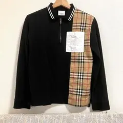 Item thumbnail for item cf24ffba-6383-4a7f-aa95-7512dcacfece