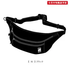 Item thumbnail for item 446c5711-48c3-4ffd-a73b-e5d47c6c7ab3