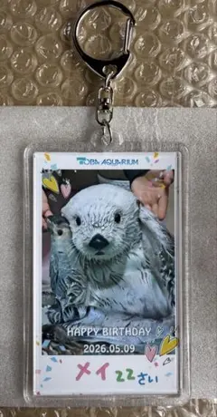 2026年最新】鳥羽水族館 メイの人気アイテム - メルカリ