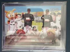 Item thumbnail for item 451eaee7-1b0c-4608-9ca6-cd431ecd13b5