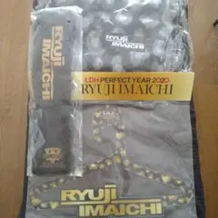RYUJI IMAICHI SPECIAL SHOWCASE グッズセット