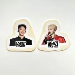 ホシ ウジ JAPAN HOLIDAY amazon 特典 ステッカー