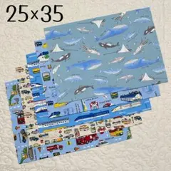 ランチョンマット 25×35 5枚セット　電車　くるま　海の仲間　男の子用　給食