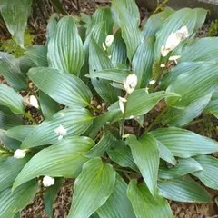 こう様 リクエスト 4点 まとめ商品