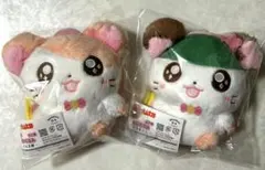 ●*す様 キャラ福くじ とっとこハム太郎 マフラーちゃん かぶるくん C賞 ぬい