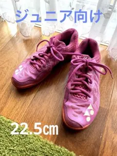 Item thumbnail for item c780248a-ac22-4f72-ac47-caf352ccac32