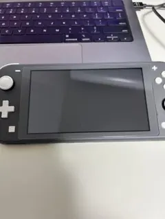 Nintendo Switch Lite グレー 本体のみ