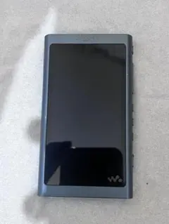 動作確認済】SONY ウォークマン NW-A55 ホライゾングリーン - メルカリ