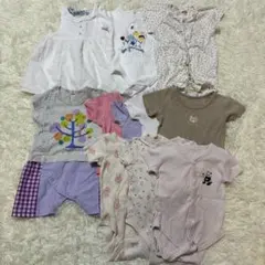 ベビー服ロンパース80サイズ11点まとめ売り半袖女の子夏服プティマイン西松屋肌着