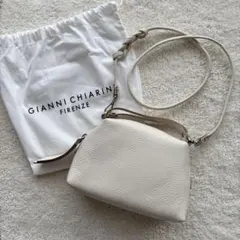 【美品】GIANNICHIARINI ショルダーバッグ アリファ S マーブル
