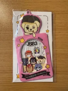 岩田剛典　フォトカードケース