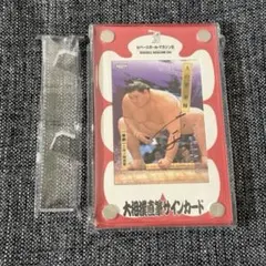 2026年最新】大の里 サインカードの人気アイテム - メルカリ