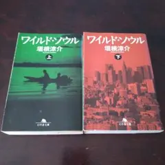 垣根涼介「ワイルド・ソウル」上・下 2冊セット