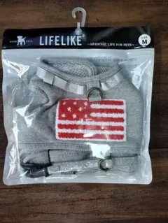 Item thumbnail for item 052e8cfc-0a99-49c8-b216-4606bfd860b3