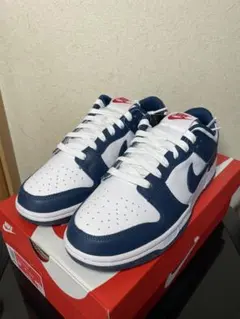 ナイキ NIKE Dunk Low Valerian Blue 26.5cm