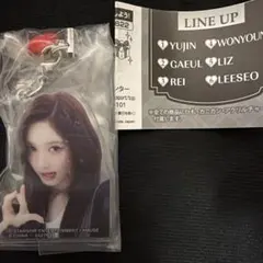 IVE アクリルビーズチャーム ガチャ イソ