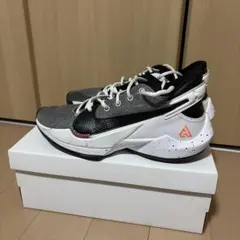 NIKE zoom freak2 バスケットボールシューズのサムネイル