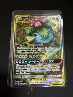 2026年最新】フシギバナ&ツタージャgx srの人気アイテム - メルカリ